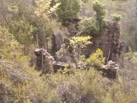 je un terrain pour cheval