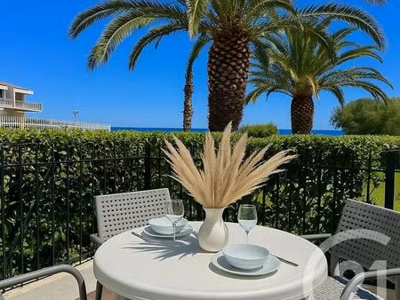 appartement t1 à louer - 1 pièce - 23 31 m2 - st cyprien - 66 - languedoc-roussillon