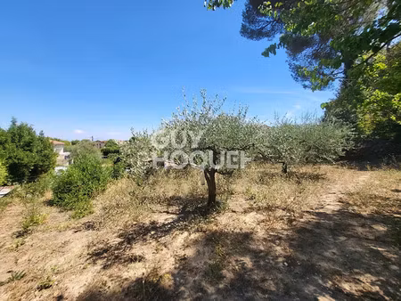 vente terrain 621 m² à connaux (30330)  95 000 €