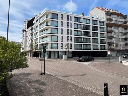 goed bereikbare dubbele binnenstaanplaats [j. nellenslaan - albertstrand].