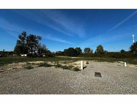 terrain saint-nicolas-de-la-grave m² t- à vendre  60 000 €