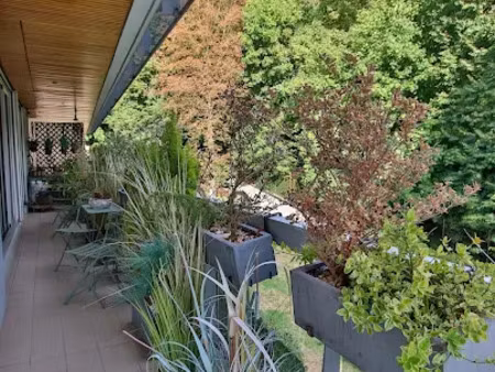 vente appartement 4 pièces 137.87 m² à ville-d'avray (92410)  820 000 €