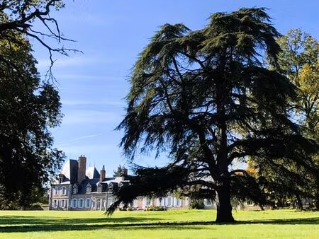 appartement de luxe de 7 pièces en vente à lamotte-beuvron  france