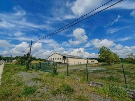 bâtiment commercail à usage de pension pour chats et chiens