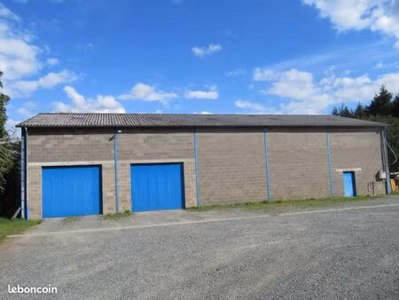 terrain a batir+batiment industriel