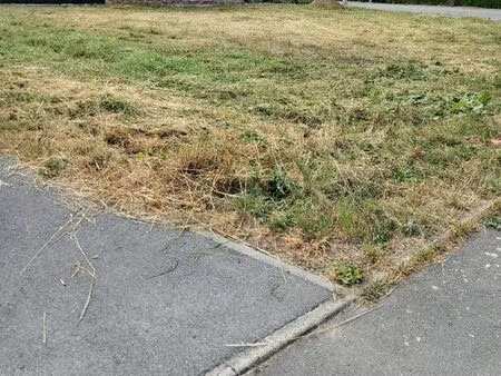 terrain à construire au calme