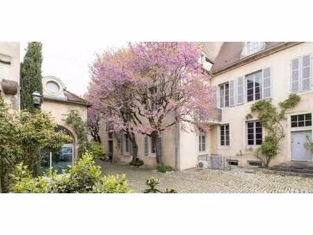 hôtel particulier dijon (21)