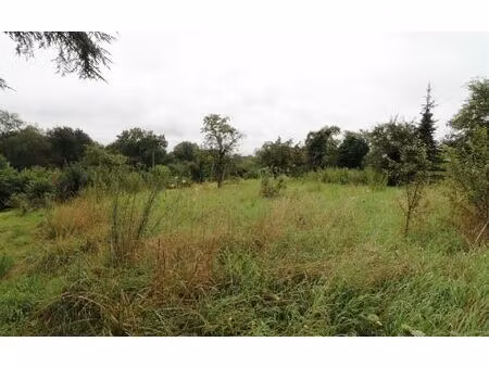 terrain pontailler-sur-saône m² t- à vendre  56 000 €