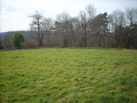 vente maison 1 pièce 20 m² tudeils (19120)