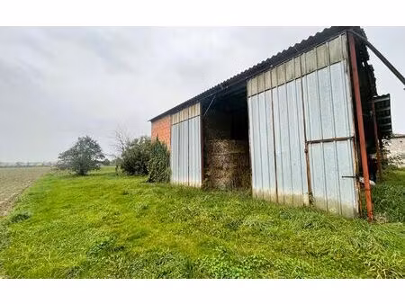 terrain merles m² t- à vendre  55 500 €