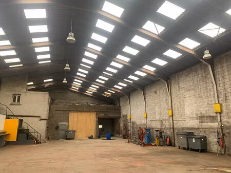 vente commerce 660 m² plougoulm (29250)