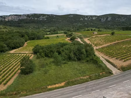 vente terrain 2174 m² à saint-bauzille-de-putois (34190)  29 000 €