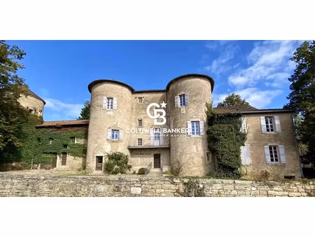 vente château 36 pièces 970 m² à ige (71960)  2 700 000 €
