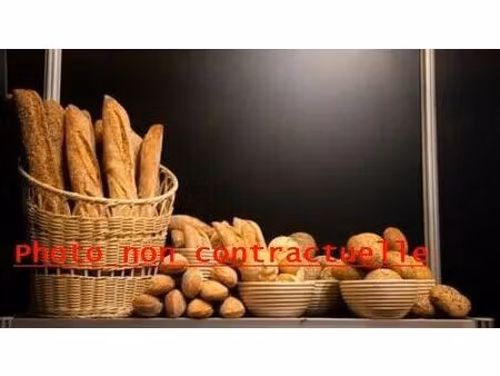 vente commerce 122 m² artemare (01510)