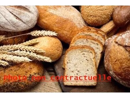 vente commerce 122 m² artemare (01510)