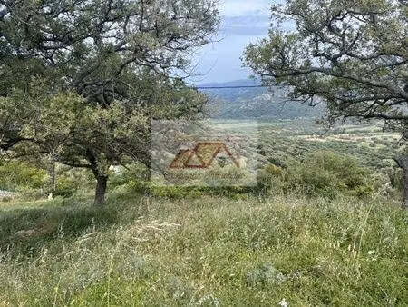 maison de prestige de 130 m2 en vente cateri  corse