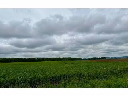 terrain muirancourt m² t- à vendre  25 000 €