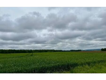 terrain muirancourt m² t- à vendre  25 000 €