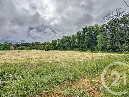 terrain à vendre - 3462 m2 - biozat - 03 - auvergne