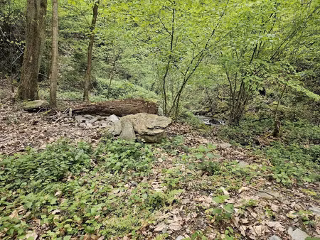 vente terrain 7430 m² à saint-paul-sur-isère (73730)  15 000 €