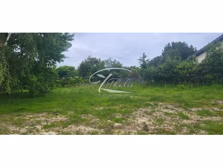 vente terrain à batir à bassens (33530)  199 000 €