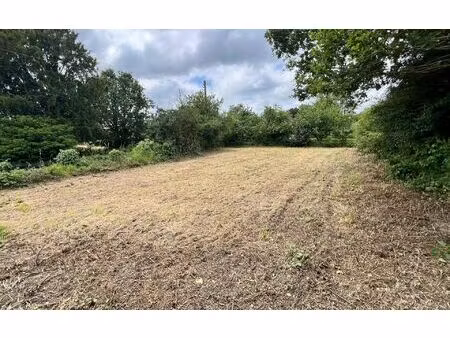 terrain cléden-poher m² t- à vendre  12 990 €