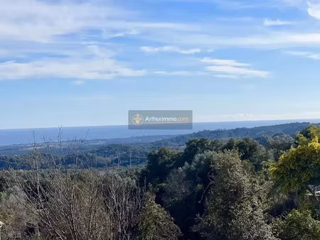 vente terrain à batir 1310 m² à cervione (20221)  98 500 €