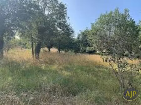 vente terrain 1150 m² à lege-cap-ferret (33950)  343 000 €