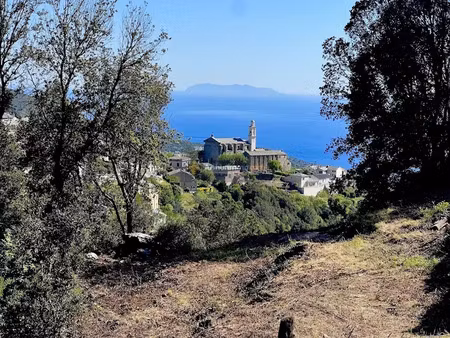 vente terrain à batir 1672 m² à san-martino-di-lota (20200)  250 000 €