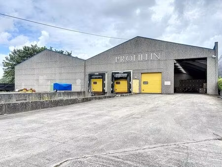 entrepôt avec quais de chargement à louer à sint-eloois-vijv