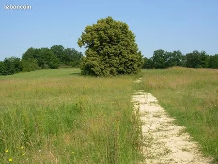 terrain a batir 702 m² viabilisé pezou négociable