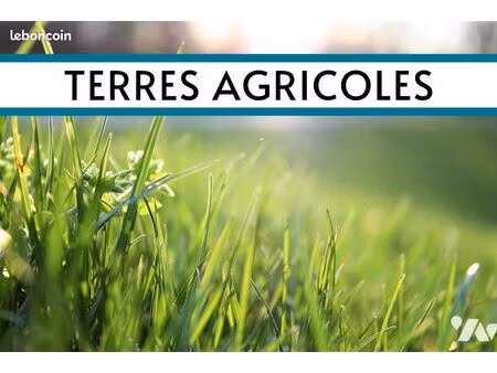 terrain 29300 m² folligny