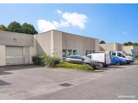 local d'activité lognes