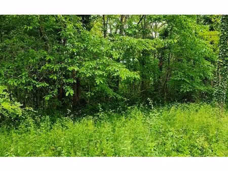 terrain léguillac-de-l'auche m² t- à vendre  23 500 €