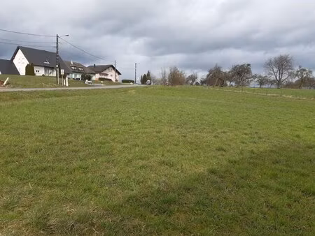 en vente terrain non constructible 2 066 m² – 97 970 € |enchenberg