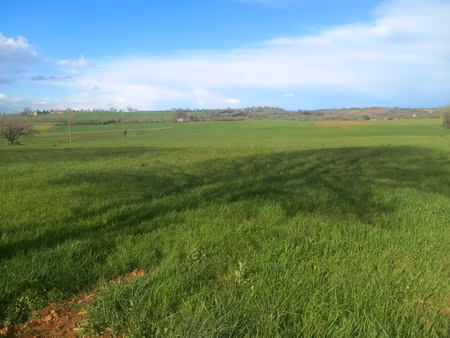 grand terrain viabilisé