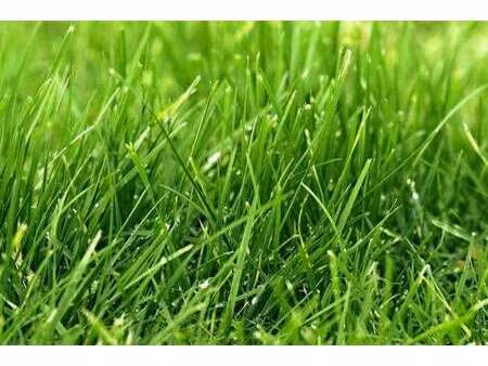 vente terrain à lamballe (22400) : à vendre / 665m² lamballe