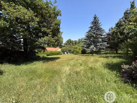 terrain libre de construction