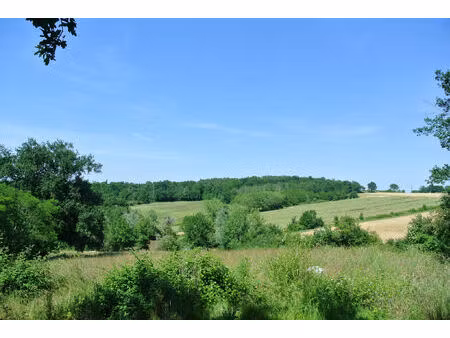 vente terrain 25560 m² castelnau-sur-gupie (47180)