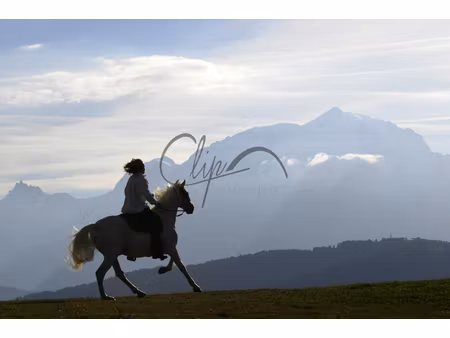 annonce terrain à vendre