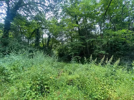 vente terrain 2300 m² à puygaillard-de-quercy (82800)  11 000 €