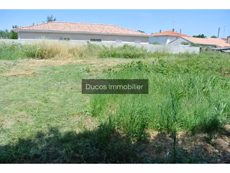 terrain constructible