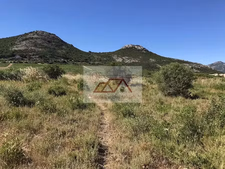 vente terrain 5000 m² à calvi (20260)  324 000 €