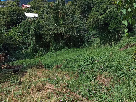 à trois-rivières  route de grande anse terrain à bâtir