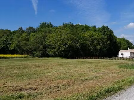 terrain à construire