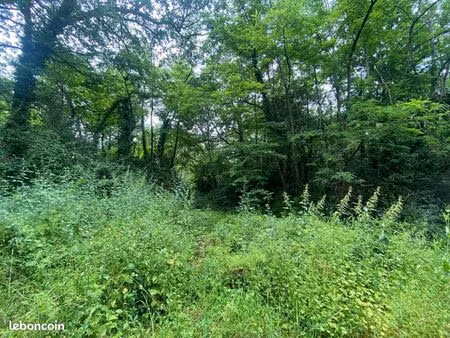 terrain 6 377 m² puygaillard de quercy