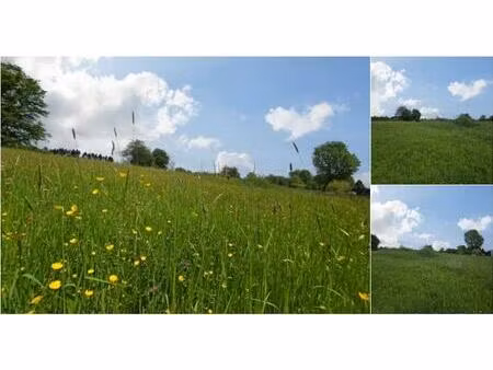 terrain à vendre à rue de l'ourthe tenneville (vbb30901)