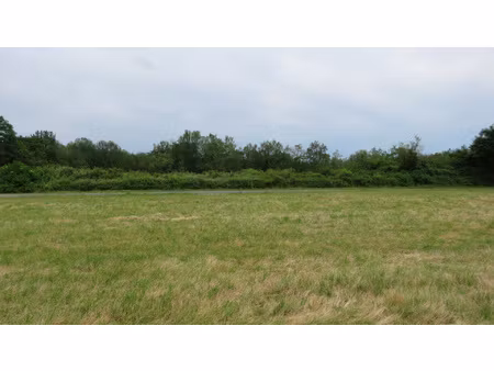 terrain constructible 4539m2 désservi avec eau et électricit