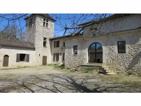 vente château 10 pièces