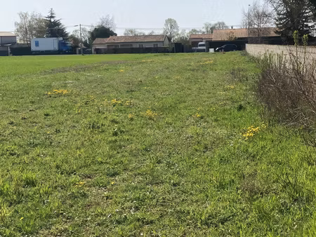 terrain constructible